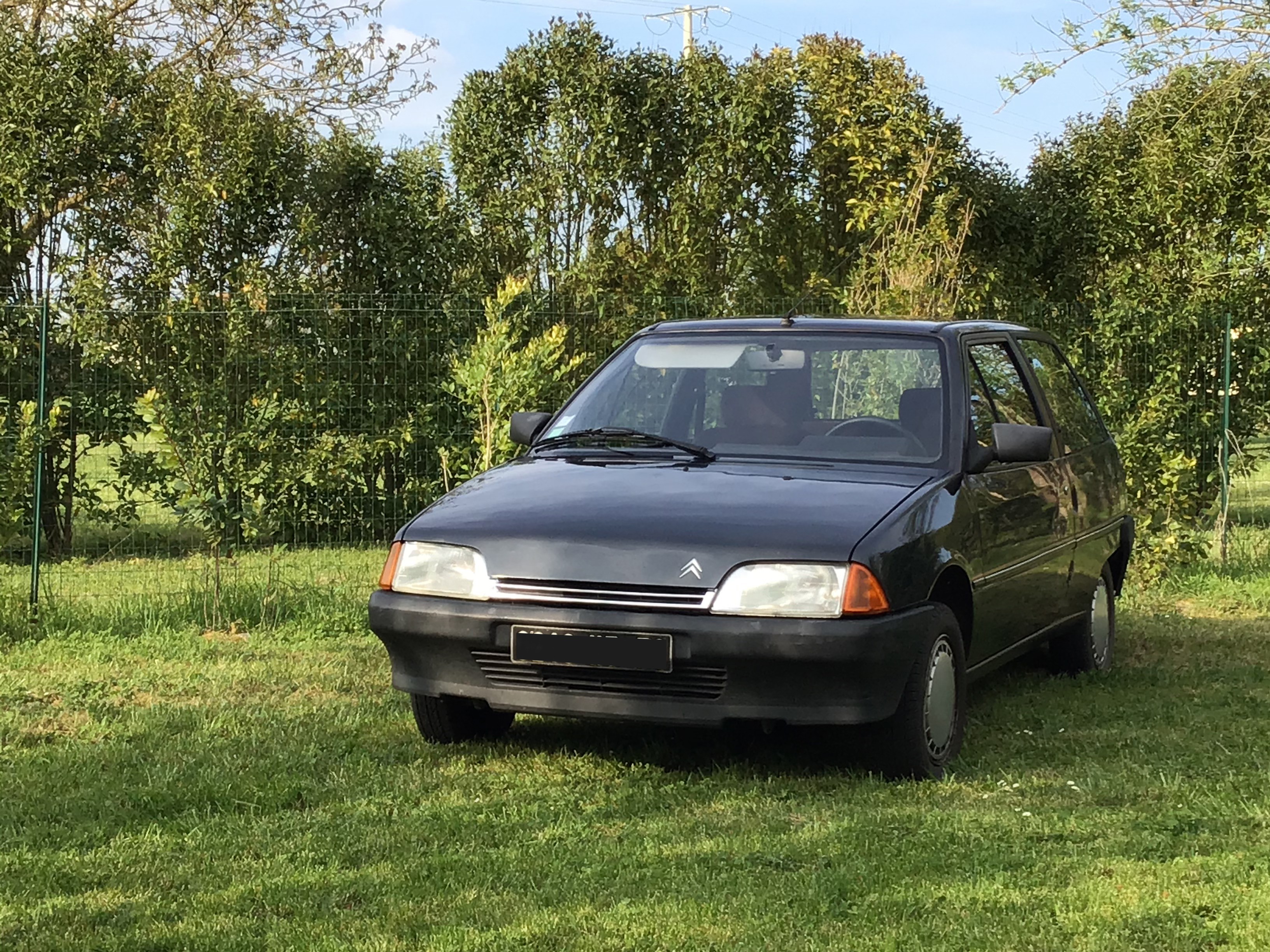 1991 Citroën AX Image