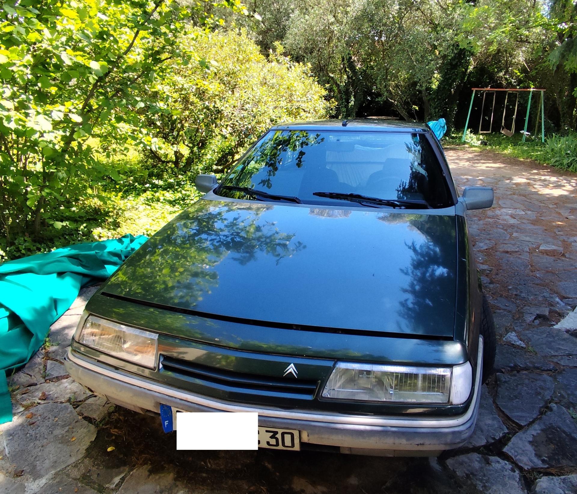 XM D12